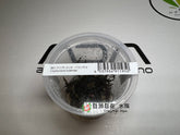 ADA 縐邊椒草 Cryptocoryne balansae IC098